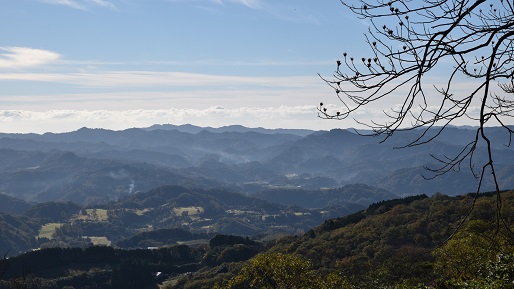 清和の森サイクリングBコース