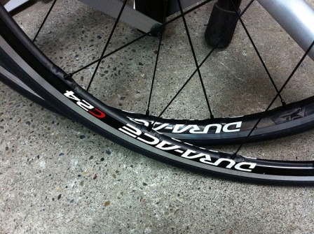 $B%7%^%N%G%e%i%(!<%9(BWH7900 C24 CL