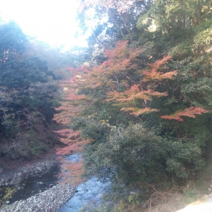 紅葉はちょっと早かった