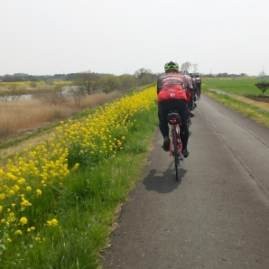 柏～筑波サイクリング　小貝川に沿って　１２０キロ