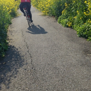 伊藤君　いい写真です