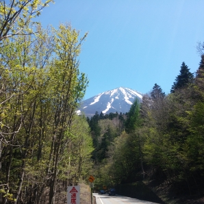 毎年、撮影する場所で