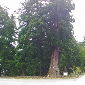 エイド４（清澄寺77km地点）