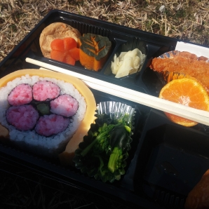 人気のお弁当