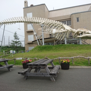 A5 和田浦道の駅ＷＡＯ 111km地点