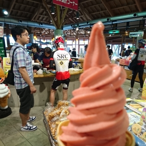 A7 三芳道の駅 152km地点