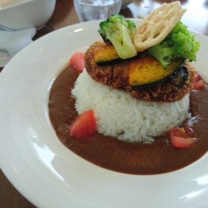 じゃこ天カレー