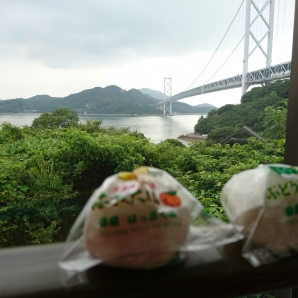 はっさく屋からの因島大橋