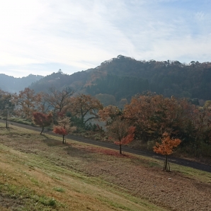 宮ノ下ピクニック園地