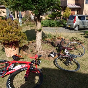 今日は外が気持ちいいです。