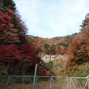 今日一番の紅葉