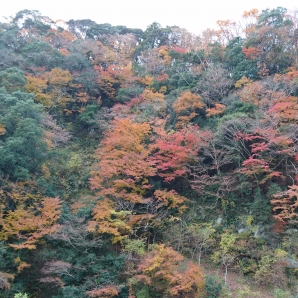 黒滝までの道中