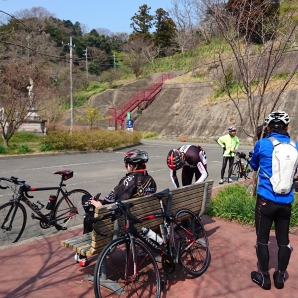 佐久間ダム、今度は桜ですね