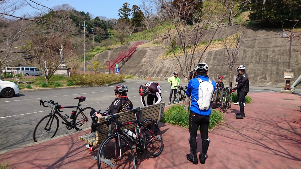 佐久間ダム、今度は桜ですね