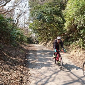 嶺岡林道爆走中
