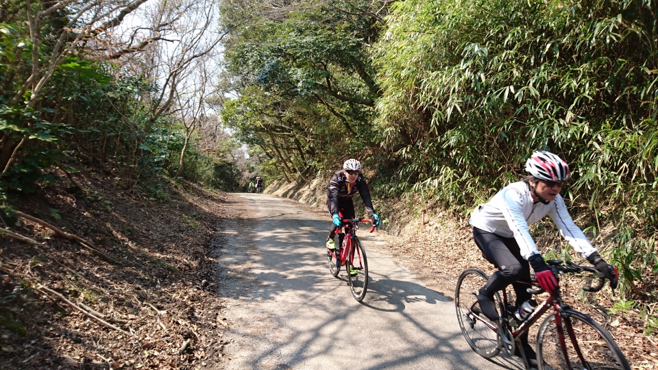 嶺岡林道爆走中