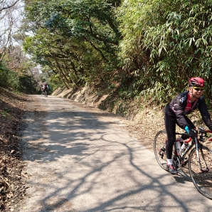 嶺岡林道爆笑中