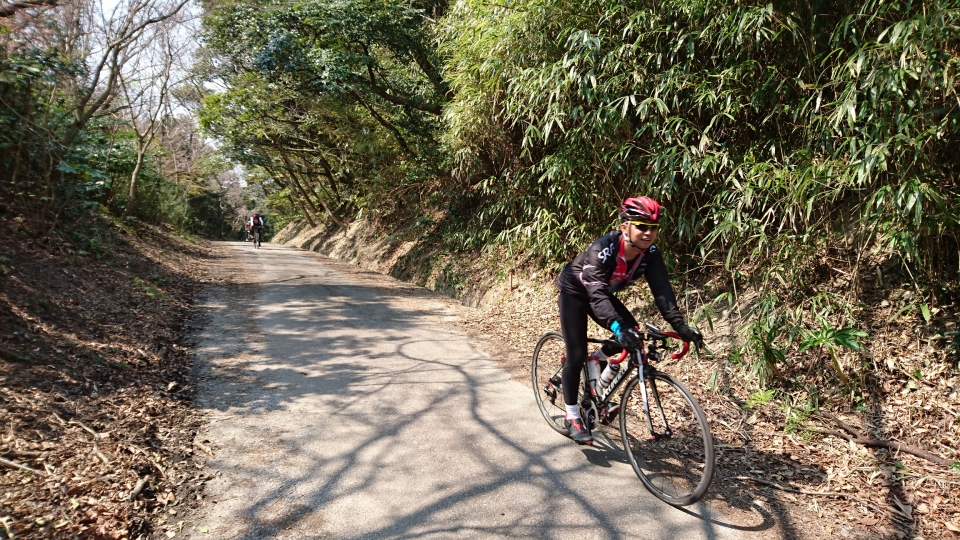 嶺岡林道爆笑中