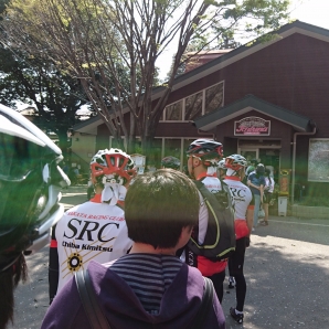 ジェラートの列