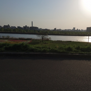 SRC荒川サイクリング