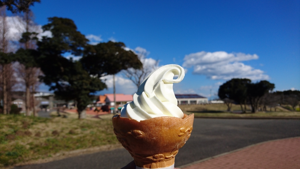 定番ソフトクリーム