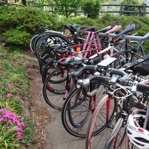 九十九谷公園ピンクのラック