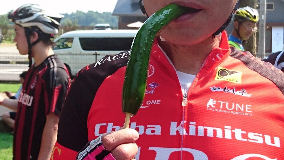 きゅうり旨かった