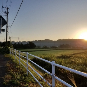 朝になりました