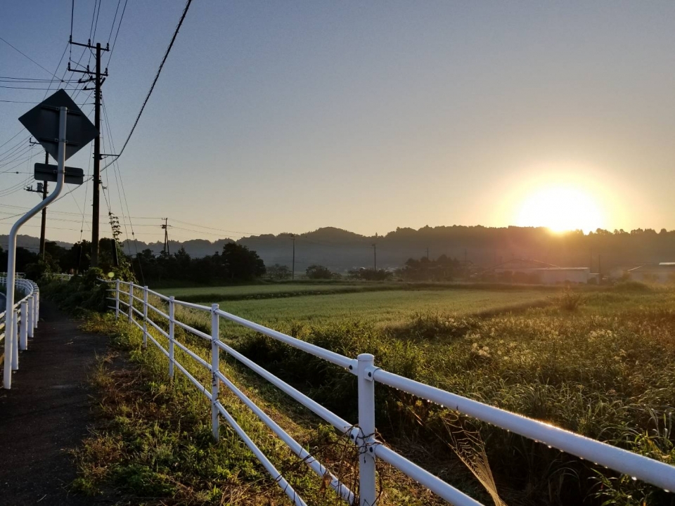 朝になりました