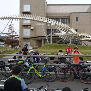 シンボル　クジラの骨