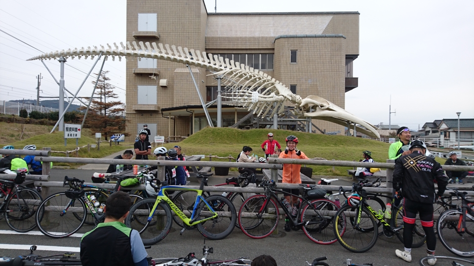 シンボル　クジラの骨