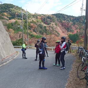 もみじ谷オプション