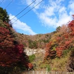 黒滝手前の紅葉