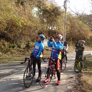 見頃の紅葉をパチリ