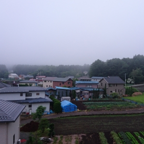 今年は富士山拝めません