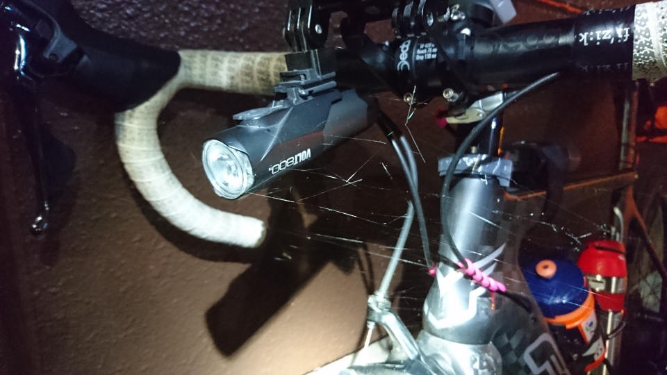 蜘蛛の巣すごい