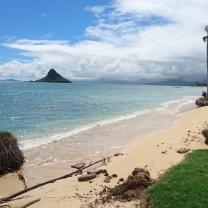 ホノルルセンチュリーライド2018