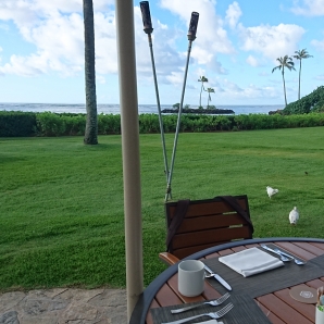 プルメリアビーチハウスのオープンガーデン