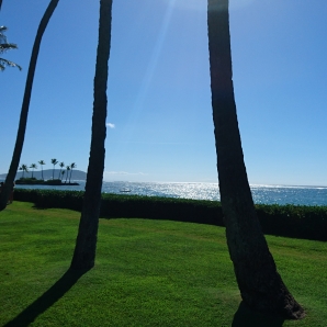 プルメリアピーチハウス