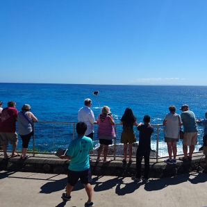 ハロナ潮吹き岩