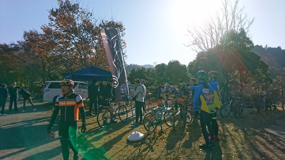 良い天気になりました