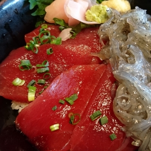 2019三浦半島三崎サイクリング