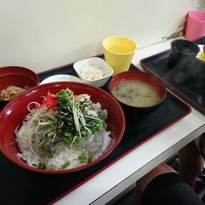 2019逗子しらすサイクリング