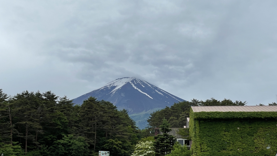 ドギーパークからの富士山