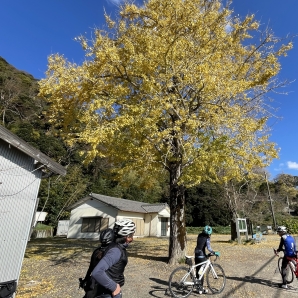 2021SRC紅葉サイクリング007