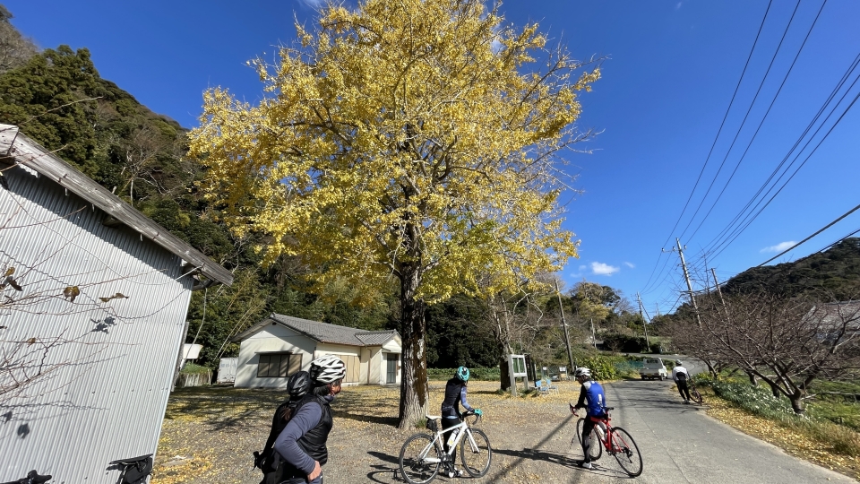 2021SRC紅葉サイクリング007