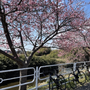 202202srcshoukoukai003