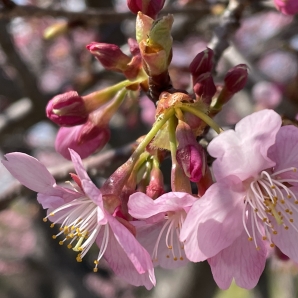 202202srcshoukoukai018