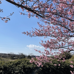 202202srcshoukoukai013