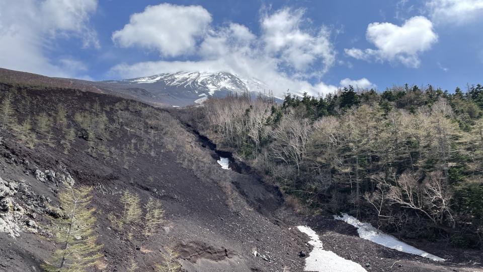 2022fujisubarulineshiso007